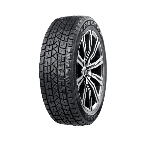 Winter Tire 255/45R19