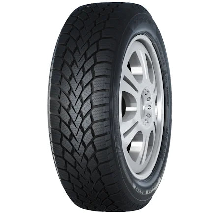 Winter Tire 205/55R16