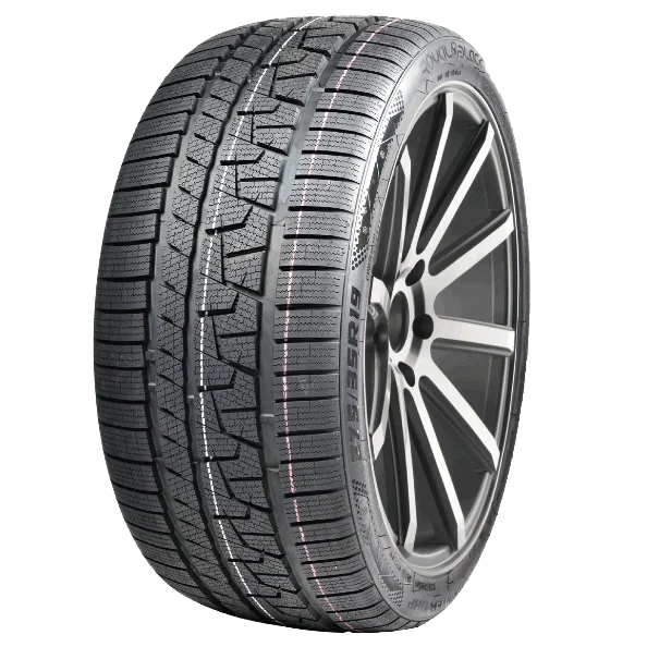 Winter Tire 255/40R19