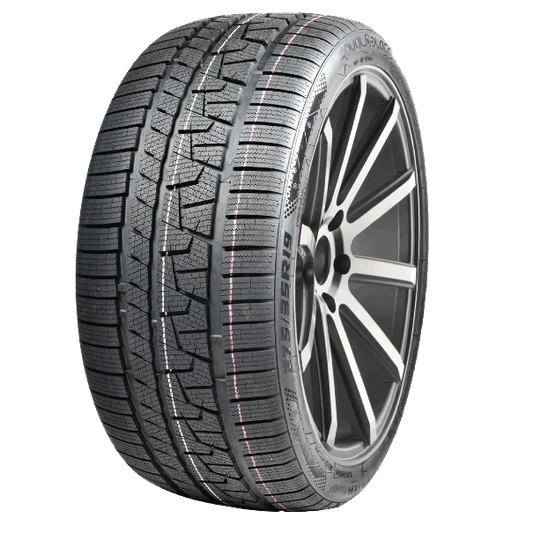 Winter Tire 255/40R19