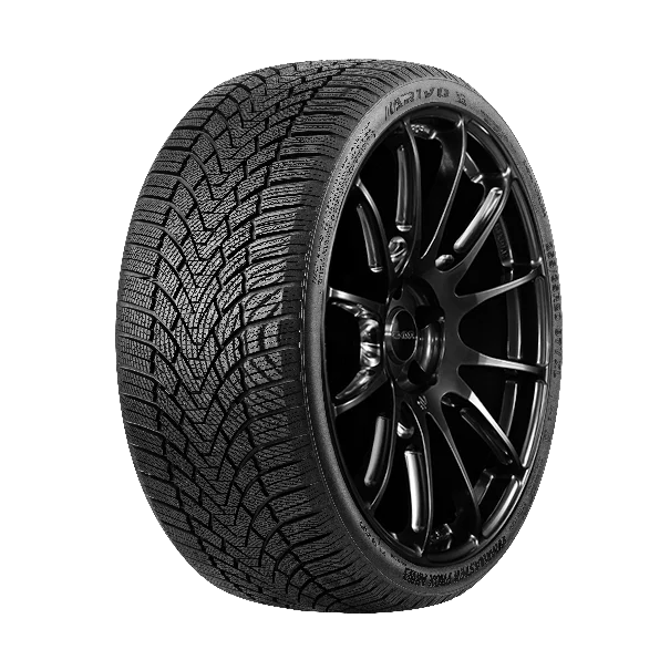 Winter Tire 235/35R19