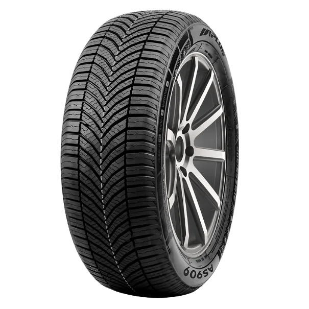 All Weather Tire 205/55R17